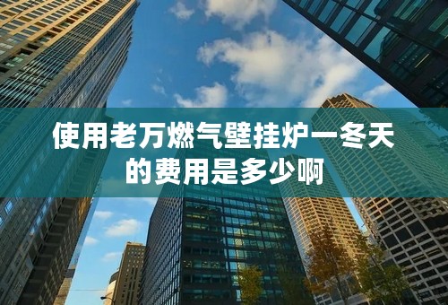 使用老万燃气壁挂炉一冬天的费用是多少啊