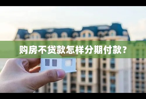 购房不贷款怎样分期付款？