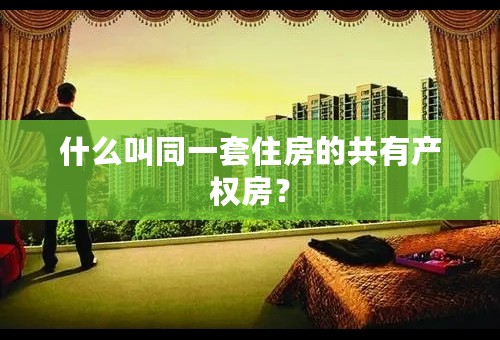 什么叫同一套住房的共有产权房？