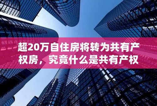 超20万自住房将转为共有产权房，究竟什么是共有产权房