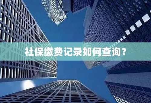 社保缴费记录如何查询？