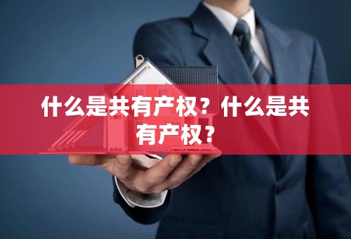 什么是共有产权？什么是共有产权？