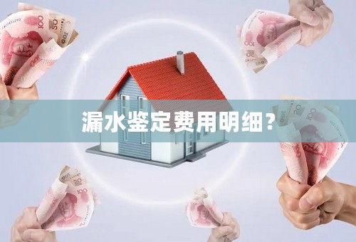 漏水鉴定费用明细？