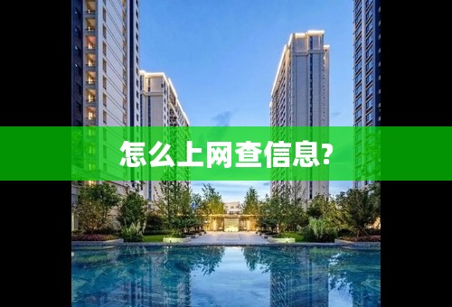 怎么上网查信息?