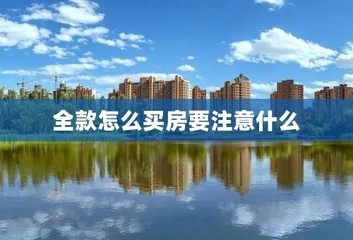 全款怎么买房要注意什么