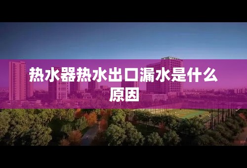 热水器热水出口漏水是什么原因