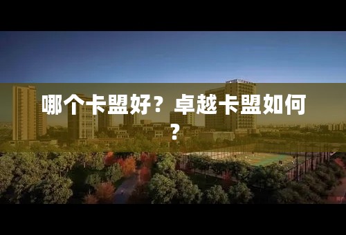 哪个卡盟好？卓越卡盟如何？