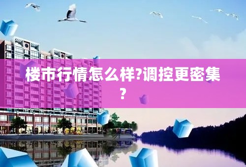 楼市行情怎么样?调控更密集?