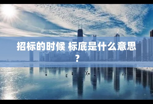 招标的时候 标底是什么意思？