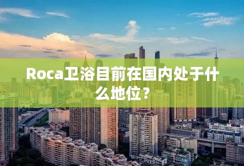 Roca卫浴目前在国内处于什么地位？