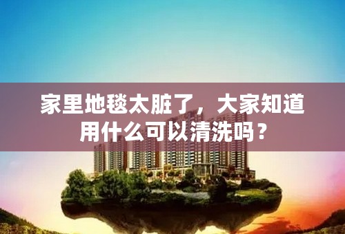 家里地毯太脏了，大家知道用什么可以清洗吗？