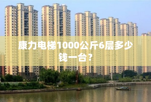 康力电梯1000公斤6层多少钱一台？