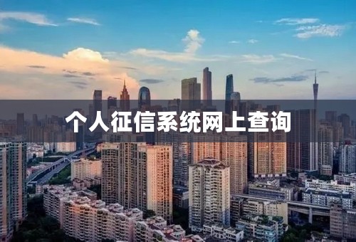 个人征信系统网上查询