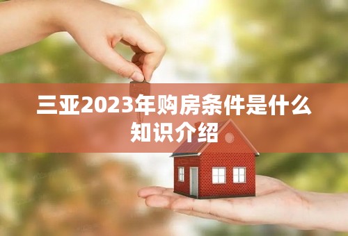 三亚2023年购房条件是什么知识介绍