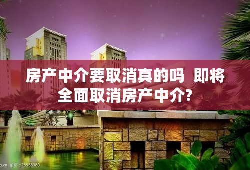 房产中介要取消真的吗  即将全面取消房产中介?