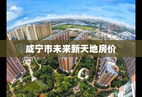 咸宁市未来新天地房价