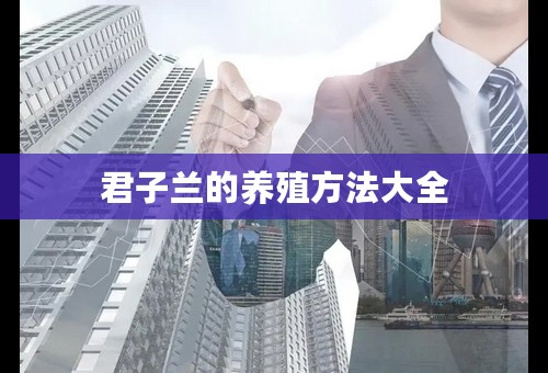 君子兰的养殖方法大全