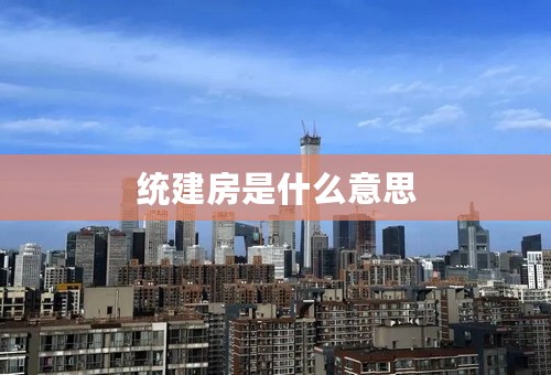 统建房是什么意思