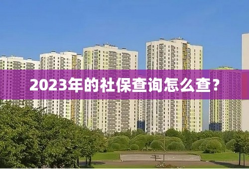 2023年的社保查询怎么查？